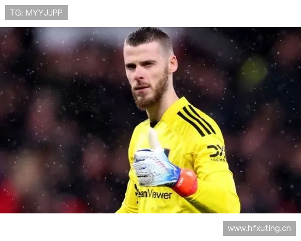 霍德本赛季在英超表现稳健,防守端发挥稳定 霍德本赛季在英超表现稳健,防守端发挥稳定