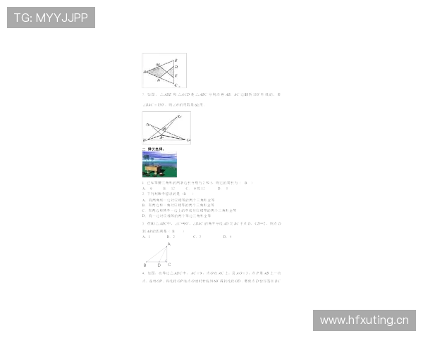 赖斯与比苏马：拦截覆盖与组织能力差异解析
